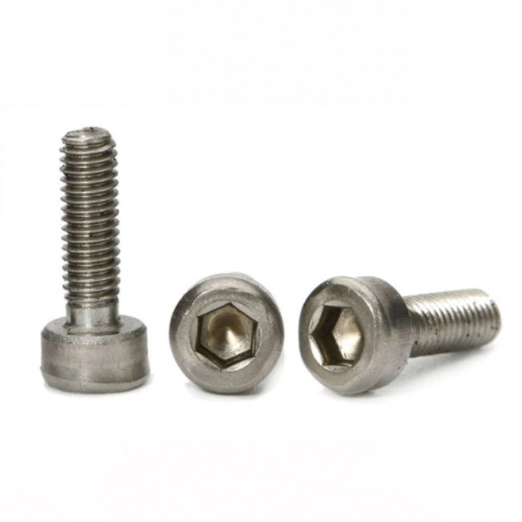Pure Titanium Screws